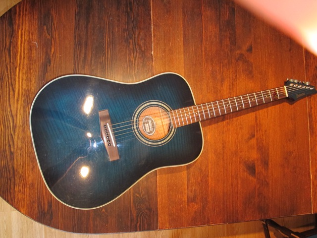 Ibanez lonestar LS 340.JPG