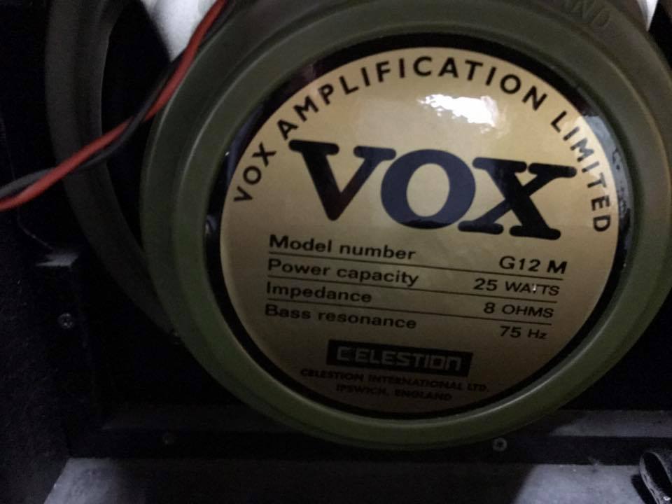 vox1.jpg