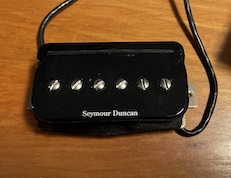 SD P-Rails.jpg