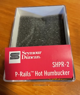 SD P-Rails ask.jpg