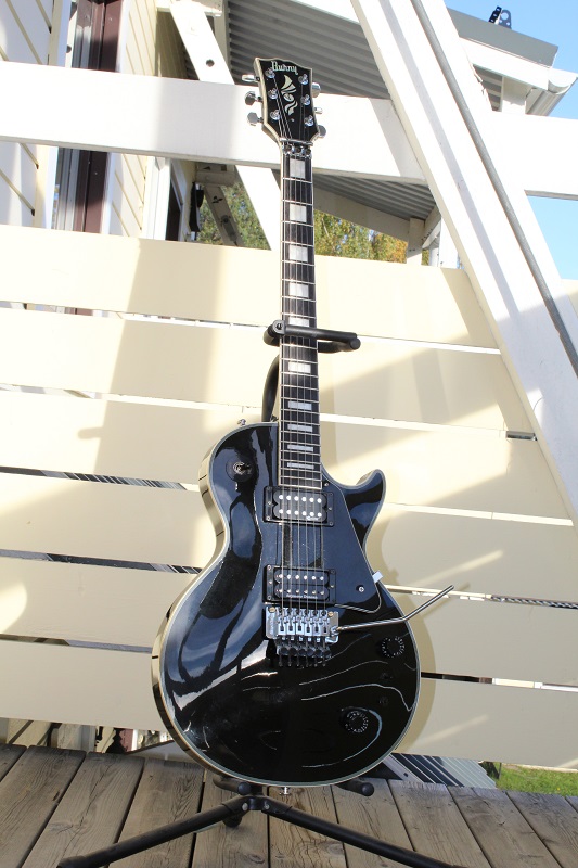 Burny Sustainer 006.JPG