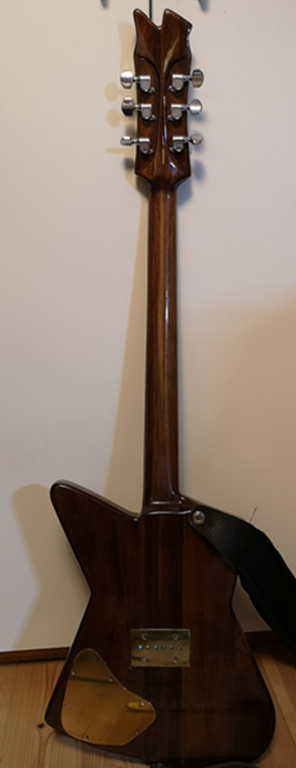 gitarr baksida.png