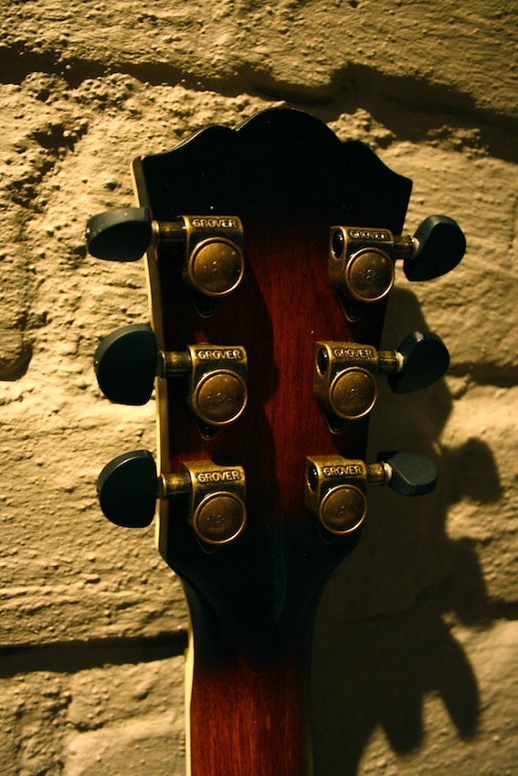 W5.jpg